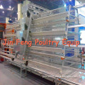 4 Tiers Egg Collecting System (JF--JD4C06)